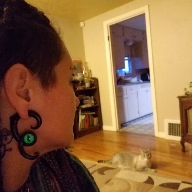 Cat Earrings Glow in the Dark Fake Gauge Earrings and Ear Plugs Halloween Jewelry